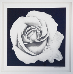 „The White Rose”, Robert Longo.